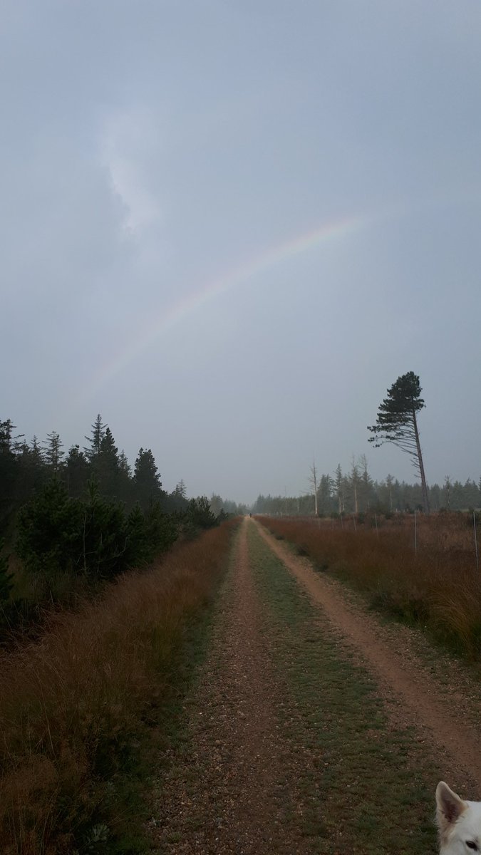 TweetyvanG's tweet photo. #fotochallenge #November_Kiek #mist #dieze https://t.co/BDVduVoY52