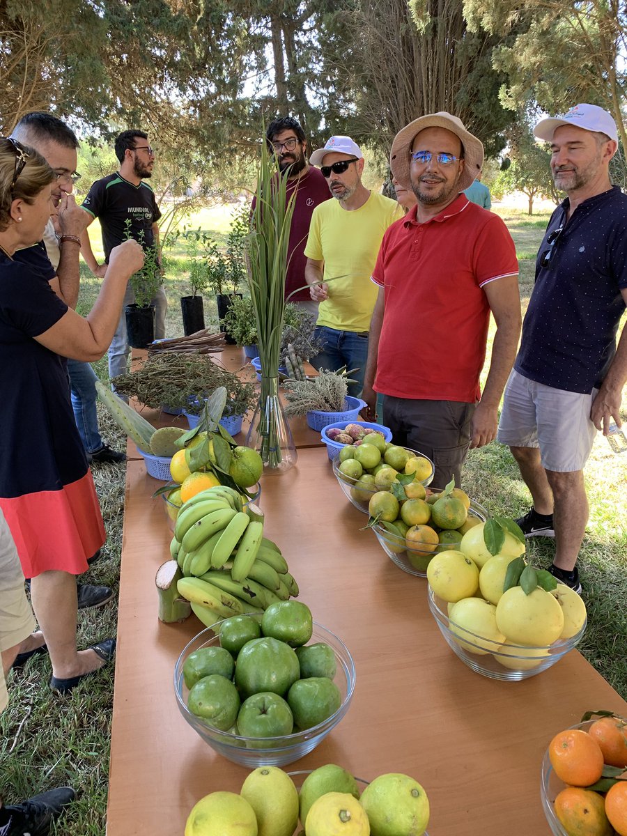 vegadapt's tweet photo. Fourth VEG-ADAPT meeting in Agadir also includes visits to #SIRWA nursery and to experimental farm of #INRAM displaying crop life from seedling to fruit https://t.co/Wxo208mtMV