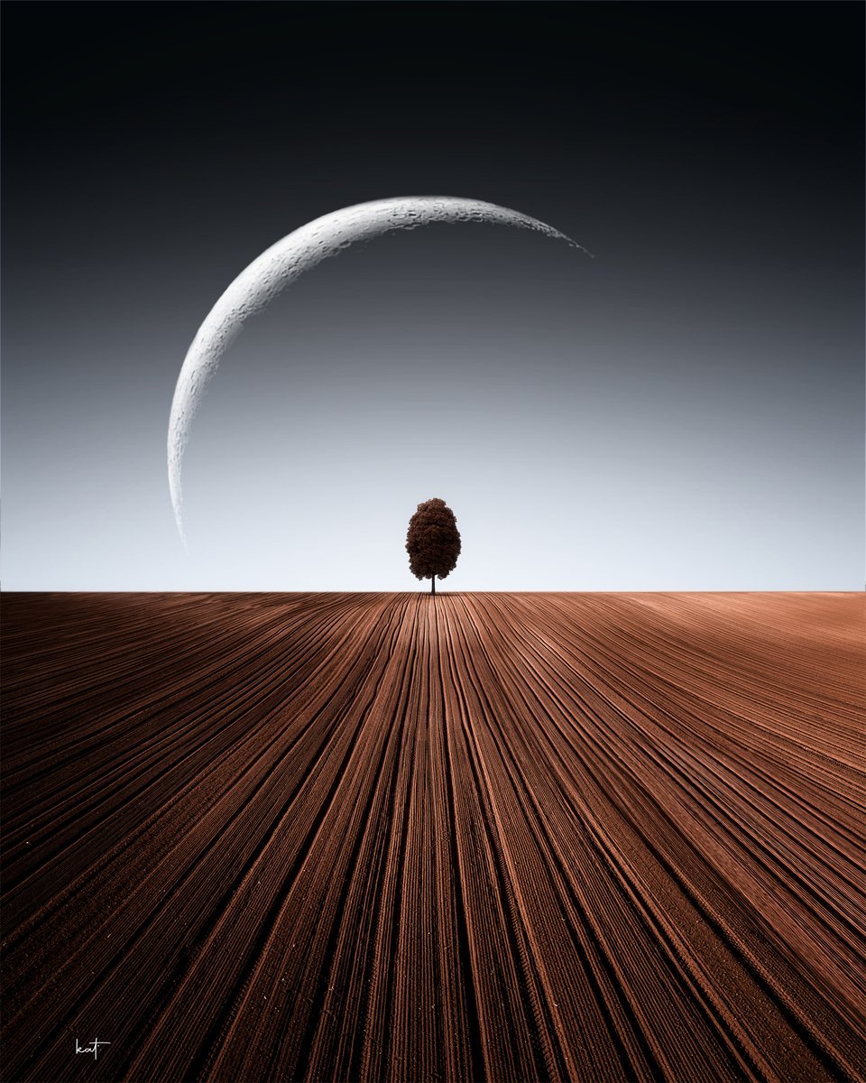 Kathrin Federer  kathrinfederer.ch tweet media