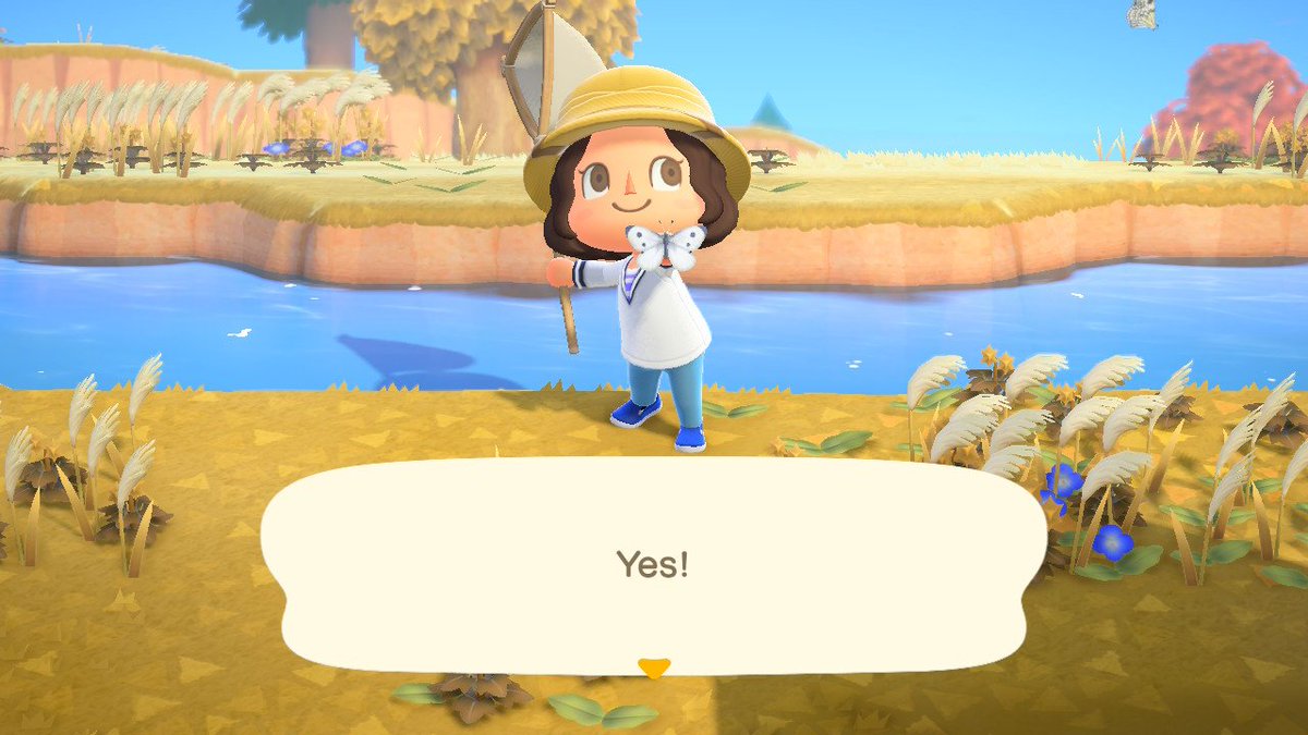 KoloaCrossing's tweet photo. Day 1: Deirdre and Buck have tents, DIY workshop has been completed and I caught my first butterfly #ACNH #AnimalCrossingNewHorizons https://t.co/MeqFNDrCwP