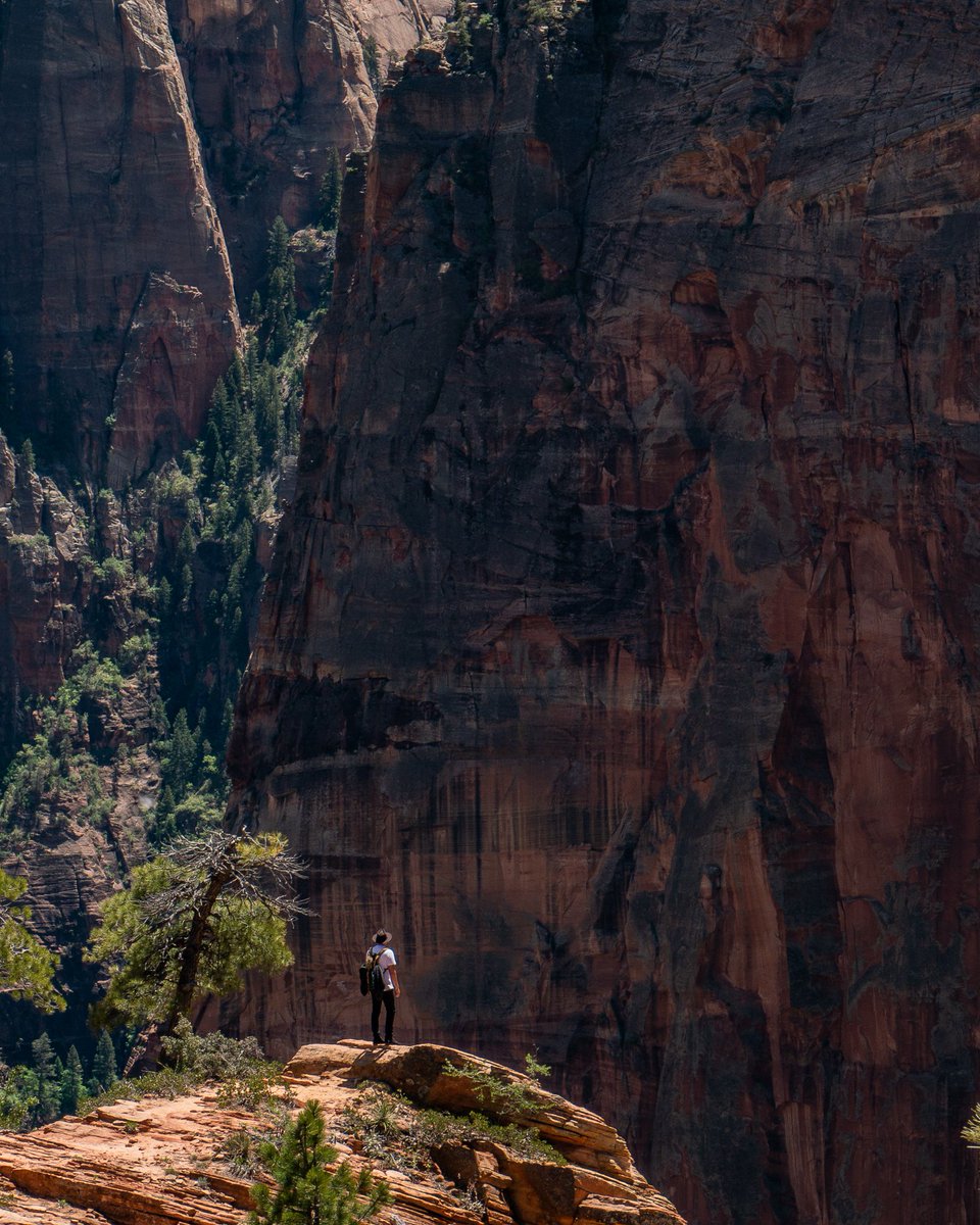sombrerossunday's tweet image. La mejor aventura comienza cuando decides vivirla. 👒

¡Ya es lunes! 🤩

#NoSalgasSinTuSombrero #ThisIsMySunday #Sombreros #MedLight #proteccionsolar #proteccionsolarconcolor #sundayafternoons