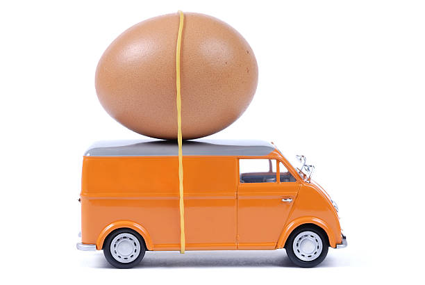 RENordquist's tweet photo. Do chicks react to transportation before hatching, so while still in the egg? This is done more and more for on-farm hatch in broilers; we investigated this in our paper just published in AABS (Open Access!) and YES, they do react. 🧵https://t.co/hV65UCVh0k https://t.co/sYmw4xurAE
