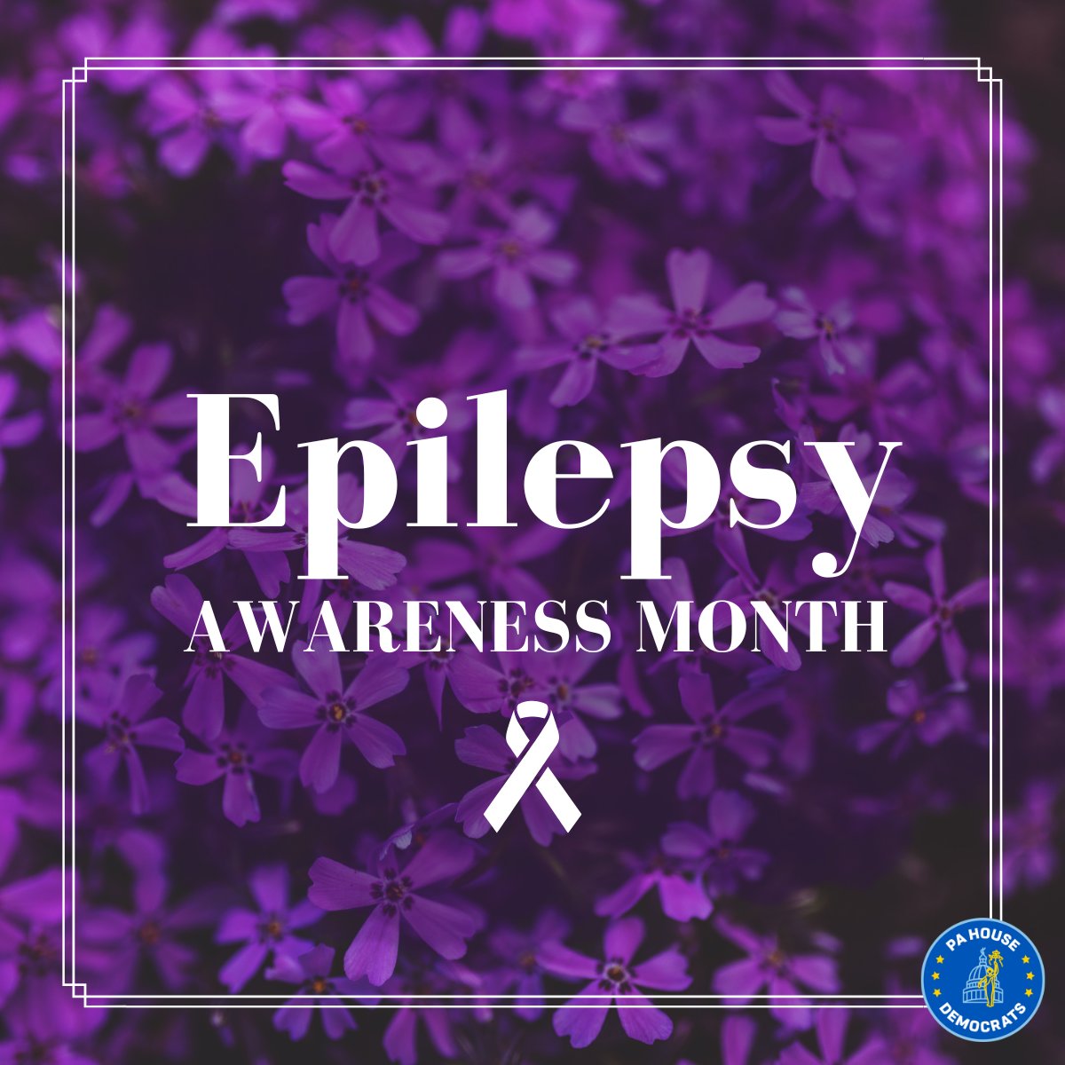 Epilepsy is the third most common brain disorder after stroke and Alzheimer's disease. About 70 percent of the time, the cause of epilepsy is not known. #NEAM