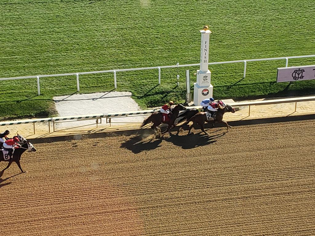 The Racing Biz tweet media