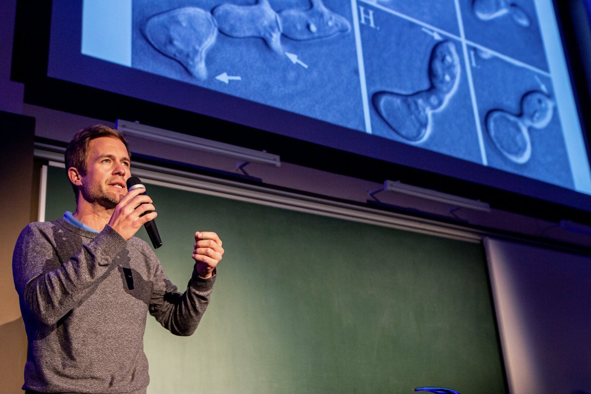 samplinghuman's tweet photo. "What bizarre technologies—lab-grown organs, engineered blood cells, spaceships, and even computation by yeast—are possible when people set their minds to it." Our CEO, @daniel_georgi, speaking about the history of DOT technology @PechaKucha. https://t.co/EE1Df95jli