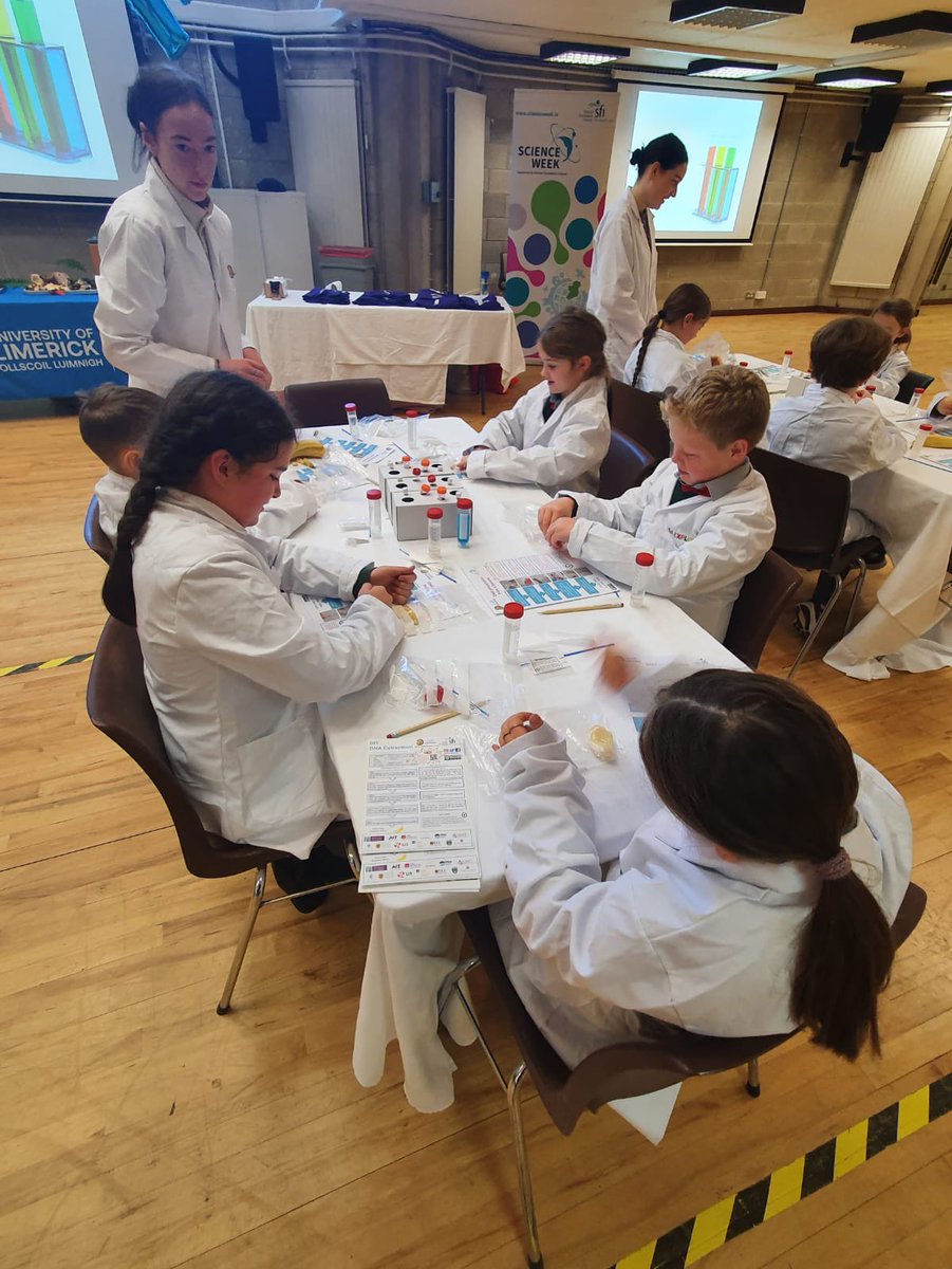 Science Week off to a great start! Many thanks to <a href="/UL/">University Of Limerick</a> and @scienceirel for their workshop “Fantastic DNA” 🧬