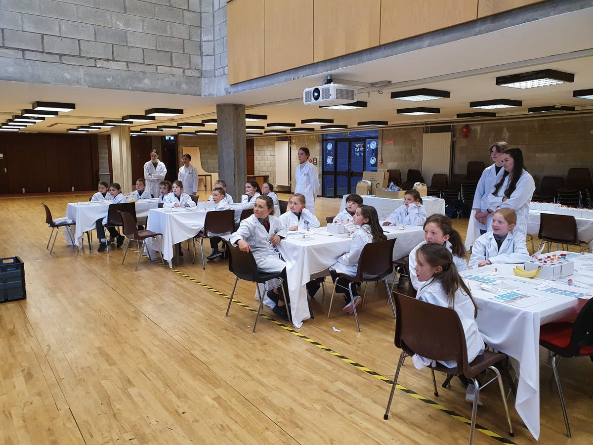 Knockadea National School tweet media