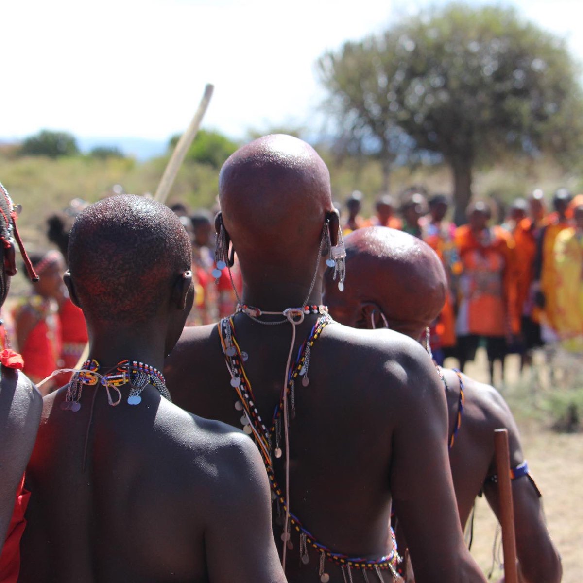 nashulai's tweet photo. With the collaboration of local community members and Maasai Indigenous Knowledge systems, Nashulai is taking a step in leading for climate justice.. #indigenousknowledge  #wecoexist #COP27 https://t.co/Xb029oxi3X