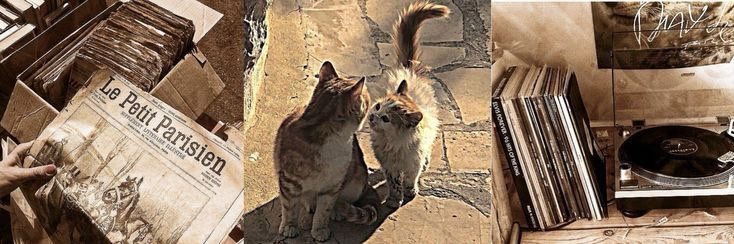 тред: что такое гостинг и как поступить, если он коснулся вас.

доброго времени суток и приятного прочтения треда. (буду благодарен за ретвит)

   **   что же такое гостинг? гостинг - особый "способ" прерывания общения/отношений/дружбы молчанием или же простым удалением диалога.