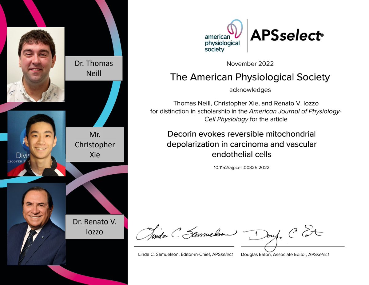 AJP-Cell Physiology (@ajpcellphys) on Twitter photo 🏅Congratulations to Dr. Renato V. Iozzo and colleagues from <a href="/JeffersonUniv/">Thomas Jefferson University</a> for their #APSselect article “Decorin evokes reversible mitochondrial depolarization in carcinoma and vascular endothelial cells”
ow.ly/xVkq50LBqEj
#cancer #proteoglycans <a href="/iozzo_v/">Renato V. Iozzo, MD PhD (Honoris causa)</a> 🏅Congratulations to Dr. Renato V. Iozzo and colleagues from <a href="/JeffersonUniv/">Thomas Jefferson University</a> for their #APSselect article “Decorin evokes reversible mitochondrial depolarization in carcinoma and vascular endothelial cells”
ow.ly/xVkq50LBqEj
#cancer #proteoglycans <a href="/iozzo_v/">Renato V. Iozzo, MD PhD (Honoris causa)</a>
