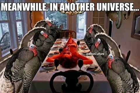 That's a shame... 🦃 #Funny #ParallelUniverse #FunTimes #Thanksgiving