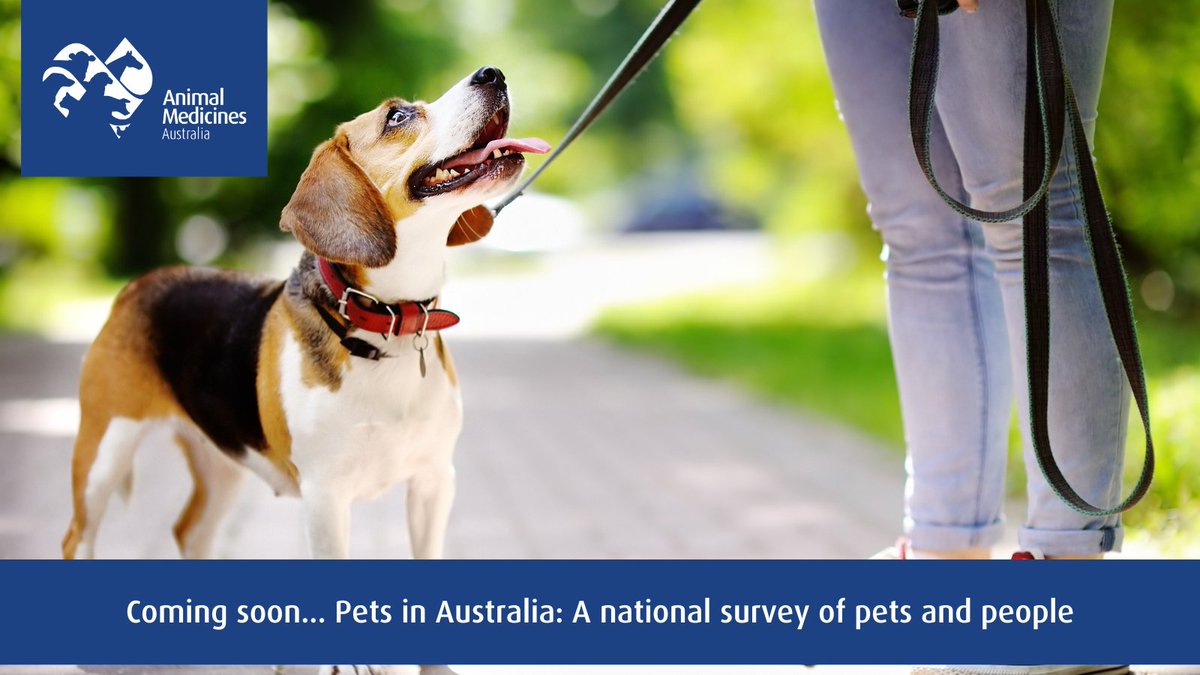 Animal Medicines Aus (@AnimalMedOz) / Twitter Animal Medicines Aus (@AnimalMedOz) / Twitter