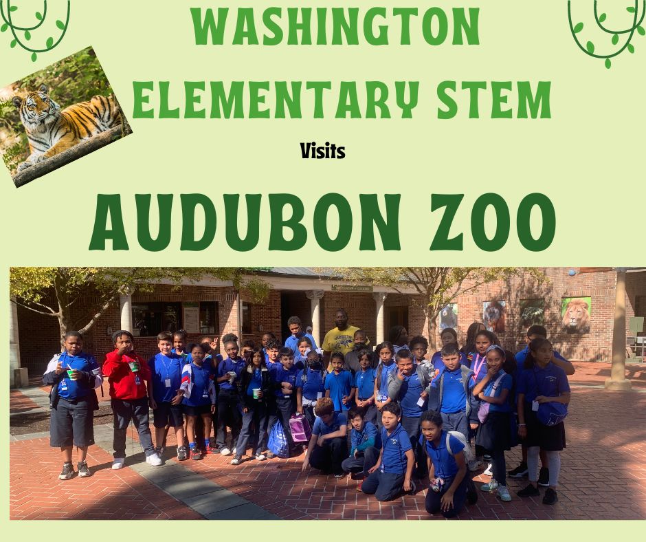 STEM_WASHINGTON's tweet photo. Every day is a STEM day at Washington Elementary STEM School. Our scholars had an exciting day of  learning on their field trip to Audubon Zoo.#STEMeducation https://t.co/HBJqQLErhB