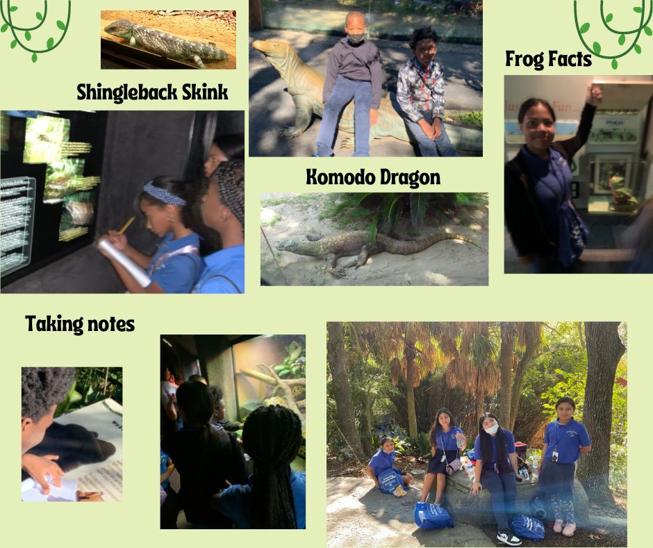 STEM_WASHINGTON's tweet photo. Every day is a STEM day at Washington Elementary STEM School. Our scholars had an exciting day of  learning on their field trip to Audubon Zoo.#STEMeducation https://t.co/HBJqQLErhB