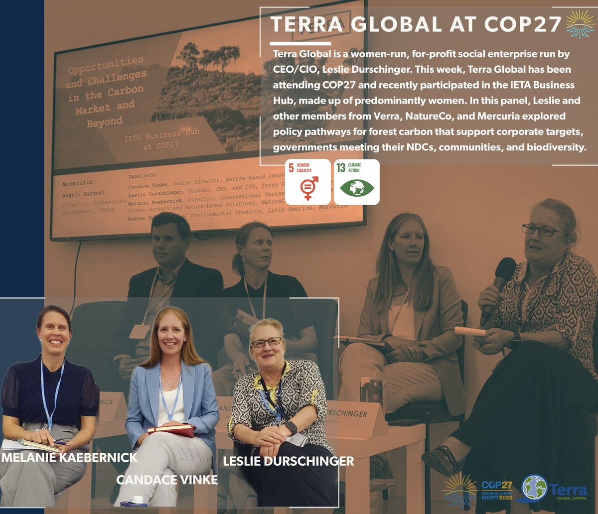 terraglobal's tweet photo. The #ConferenceOfParties is a call to action for the 🌎 to join forces to combat climate change. This week, @TerraGlobal is in📍Sharm El-Sheikh attending #COP27 exchanging our knowledge of climate finance & nature-based solutions. #PassionandPersistence #TogetherForImplementation https://t.co/io2N4UzgDe