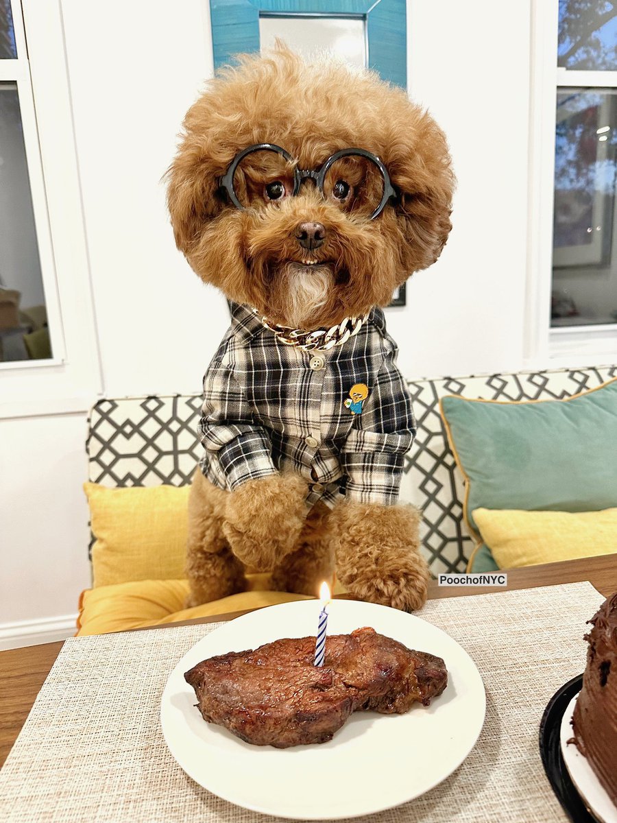 Wish me a #HappyBirthday 🎂. I’m 8️⃣ years old today. 🥸