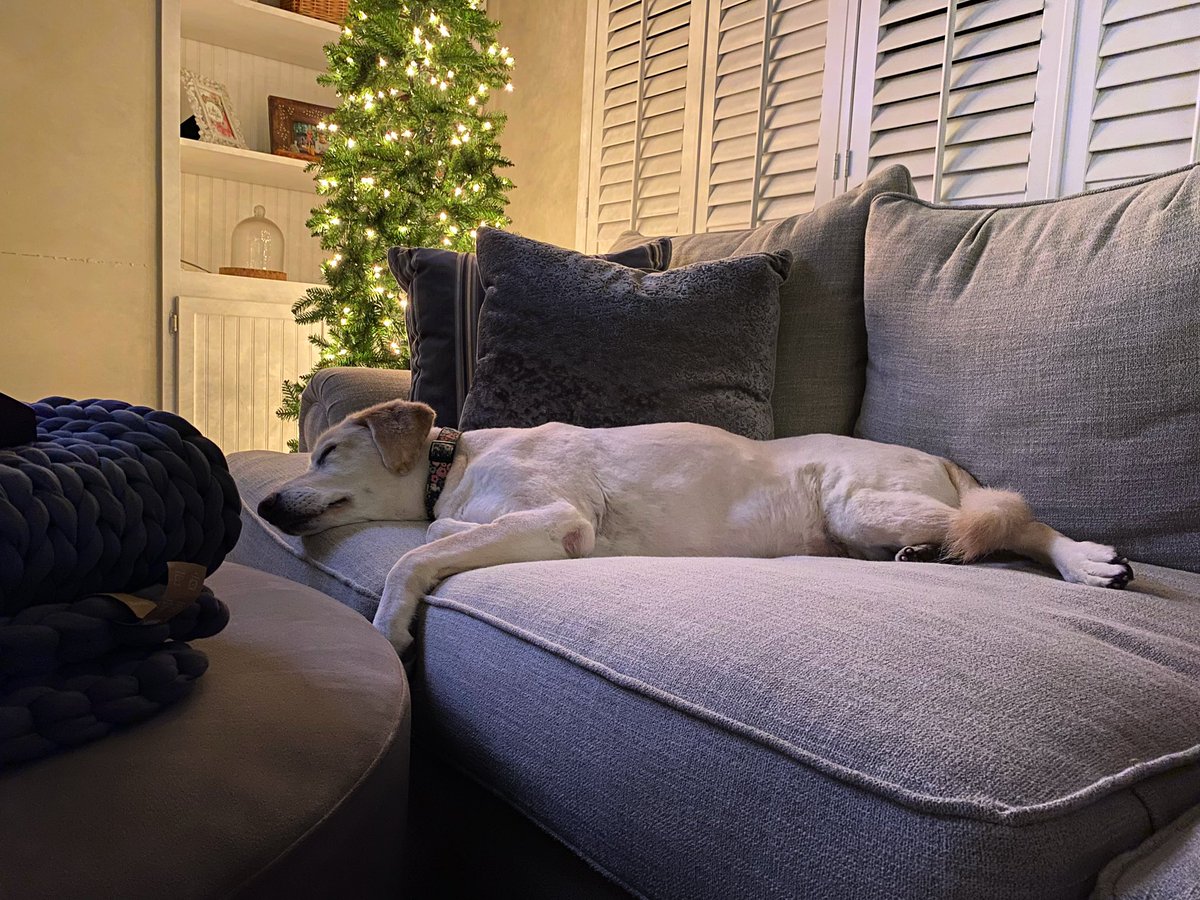 Lindsay Hammill tweet media