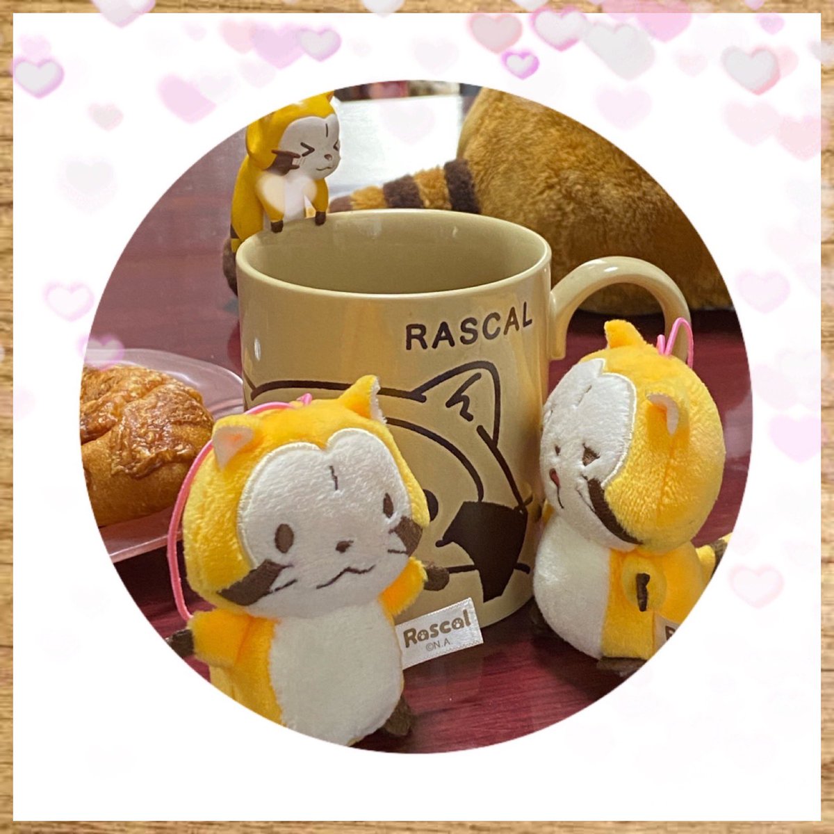 Rascal2011M's tweet image. おはようございますーミャ🍀
#ラスカル ＃ぬいぐるみ