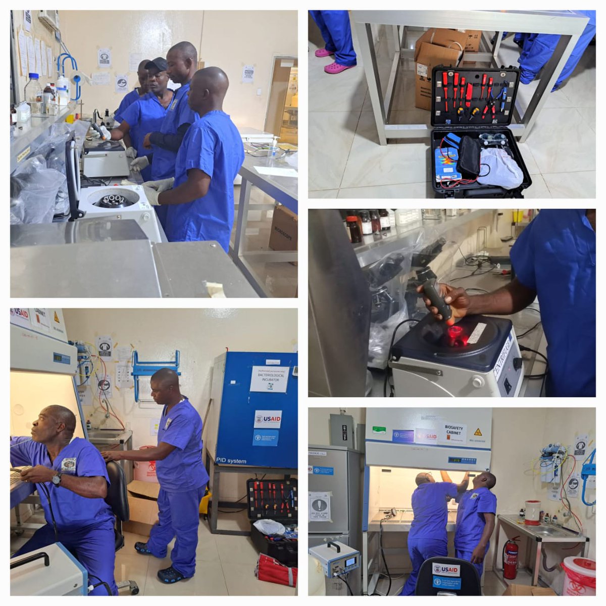 FAO Liberia tweet media