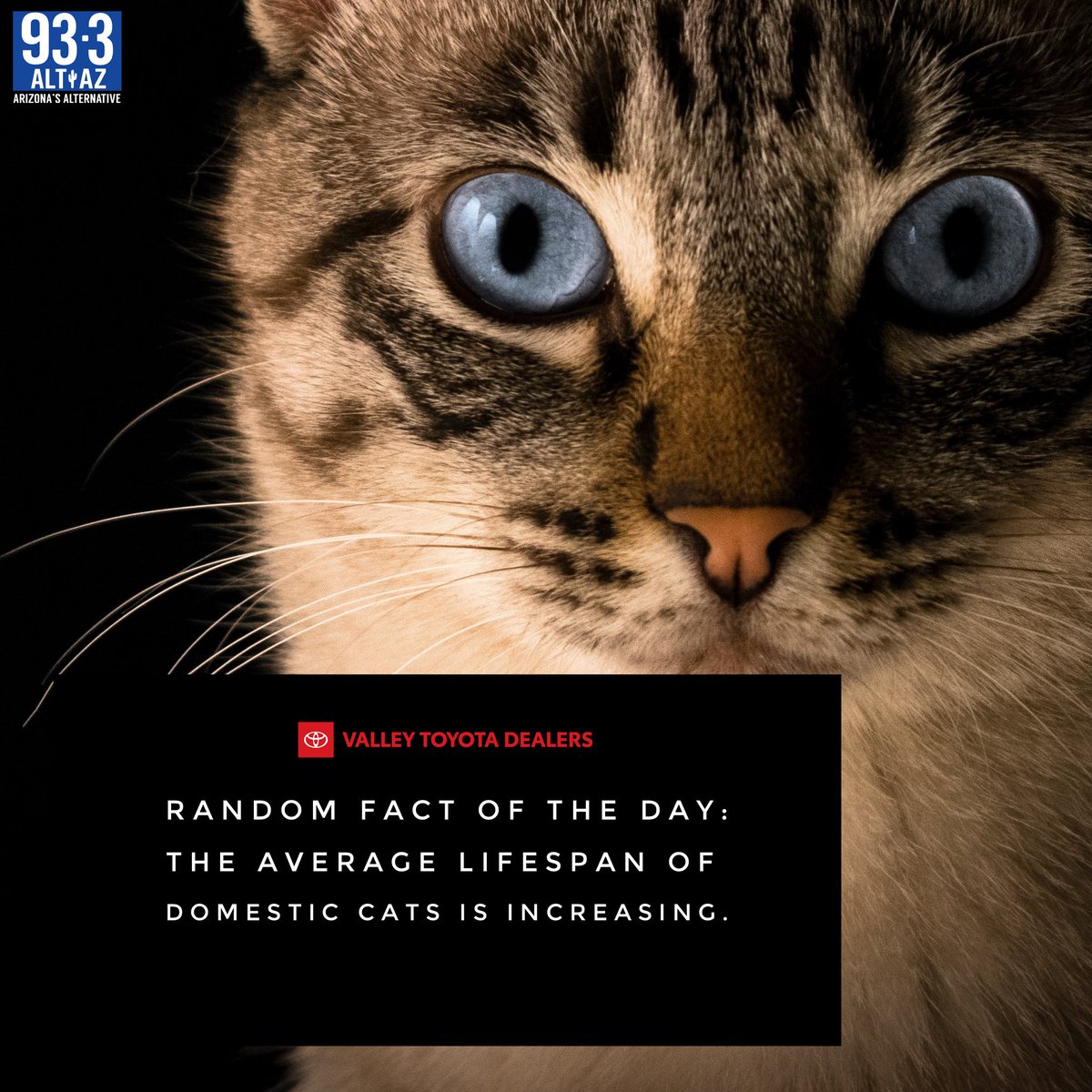 altaz933's tweet image. It’s amazing how much longer they live when they don’t get to go outside 🤔 - @DustinALTAZ z #sponsored