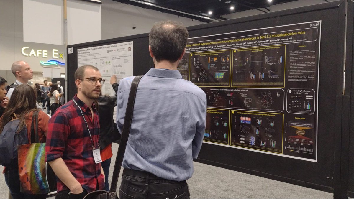 Penzeslab (@penzes_lab) on Twitter photo If you are interested in #cnv biology and risk factors for #autism and #schizophrenia. Come say hi to Marc's poster on board F23. Now until 5pm @ #SfN2022 ! If you are interested in #cnv biology and risk factors for #autism and #schizophrenia. Come say hi to Marc's poster on board F23. Now until 5pm @ #SfN2022 !