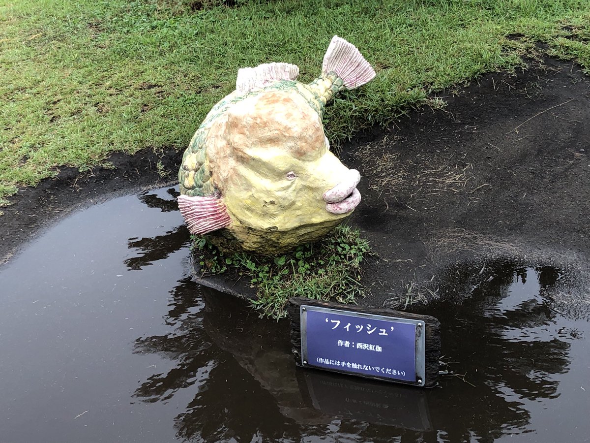 seiji634's tweet photo. 鴨川シーワールドにて https://t.co/mrsVE8skD5