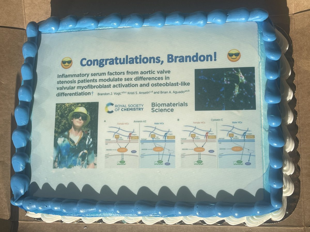 HUGE congrats to rockstar Brandon Vogt 😎 for publishing his latest #AguadoLab work in @BioMaterSci determining #sexdifferences in valve cells in response to inflammatory serum factors! Early investigator issue + back cover photo on today’s #papercake! 🍰
pubs.rsc.org/en/content/art…