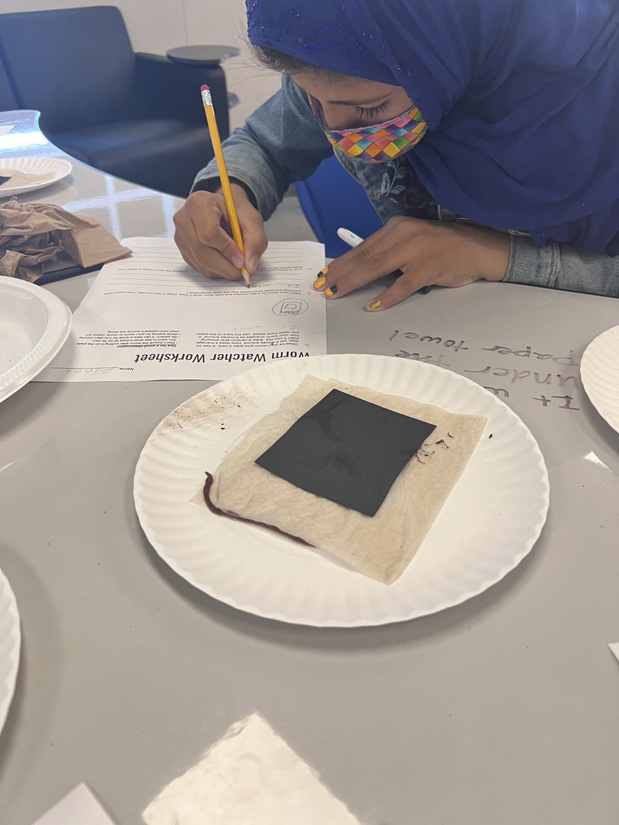 Worm decomposers in 5th grade! 
🪱 🪴

<a href="/MysterySci/">Mystery Science</a>