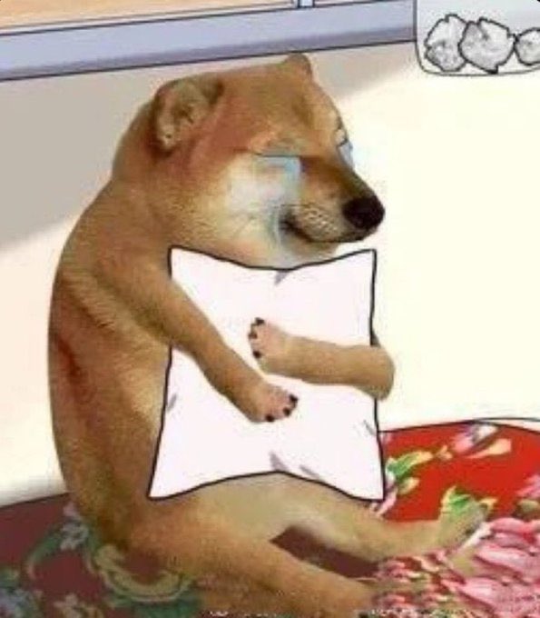 ❛ ── 𝓝𝐨𝐠𝐥𝐚. ೄ (@fockinpotato) on Twitter photo 