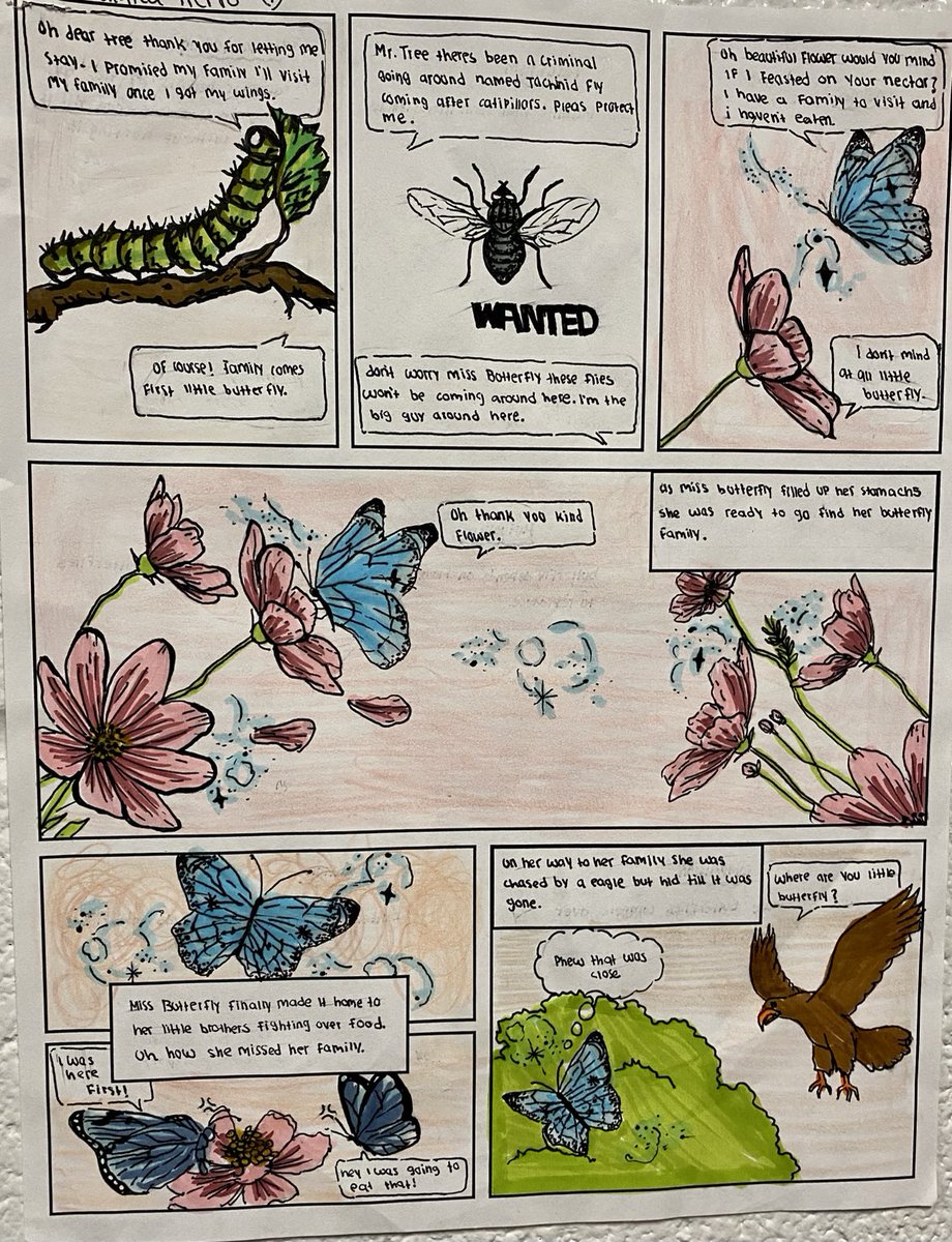 Kelly Knight tweet media