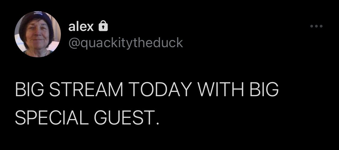 QUACKITY UPDATES 🌐 tweet media