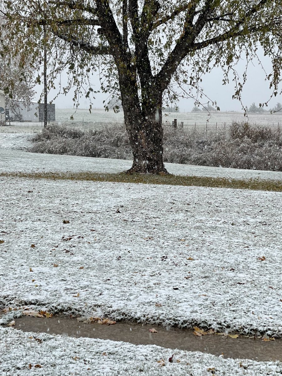 Snowing in Oklahoma 😀