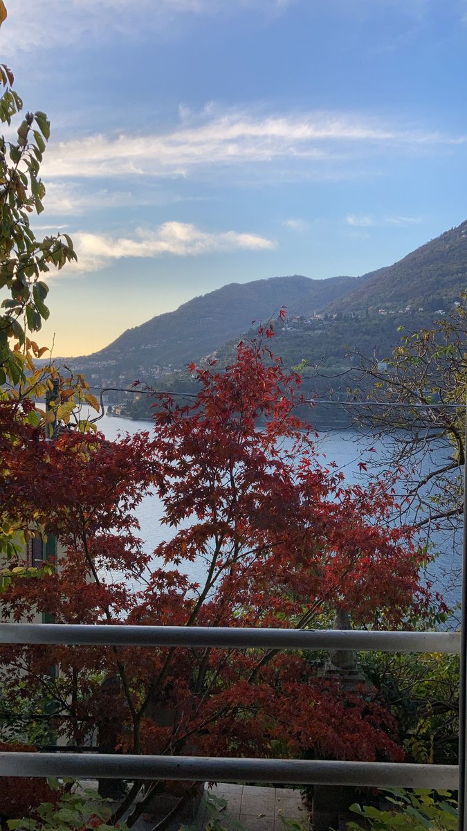 ValentinaDallaCosta tweet media