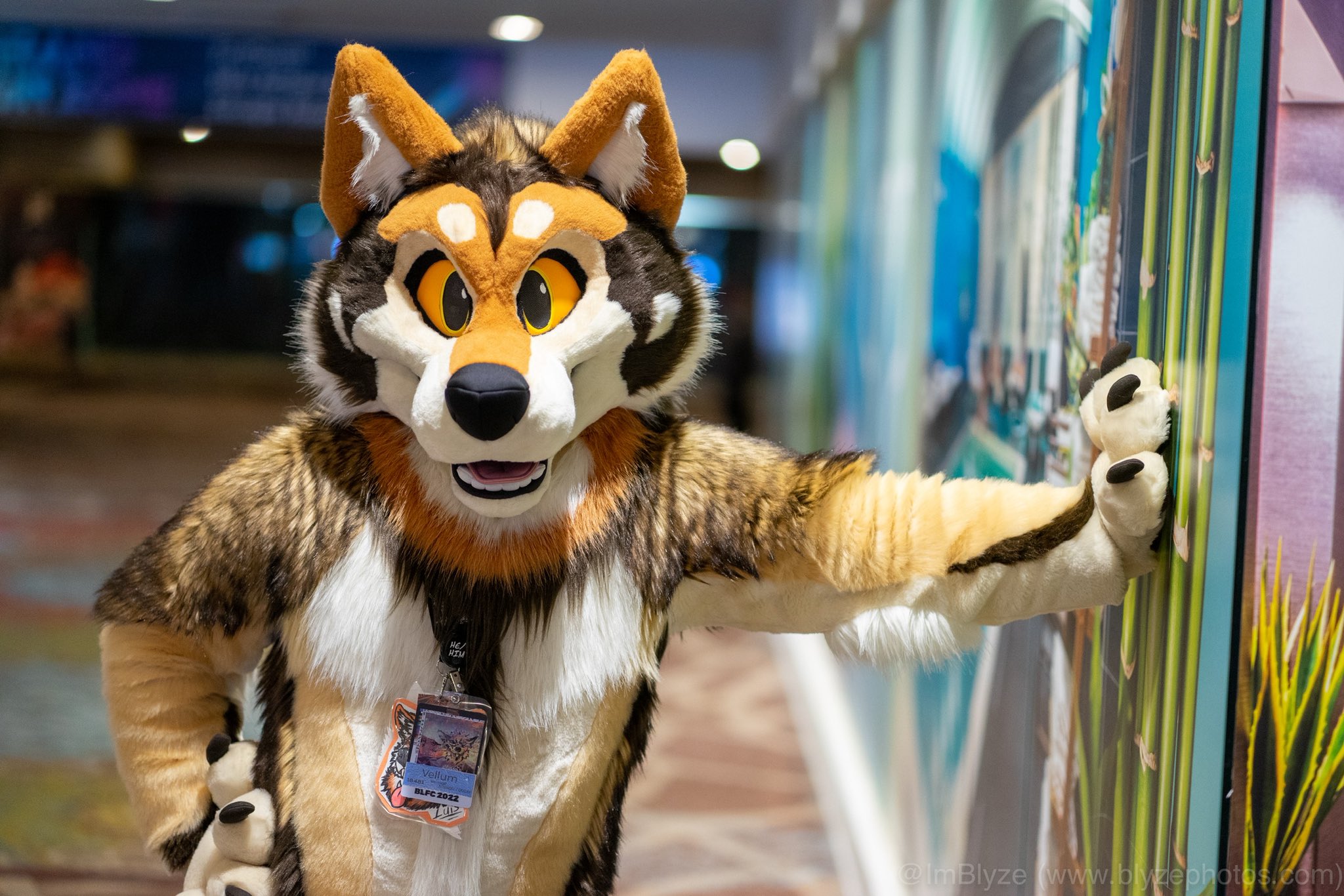 Blyze 🔜MFF, PDFC? FC? on Twitter: "Would anyone want a photoshoot done