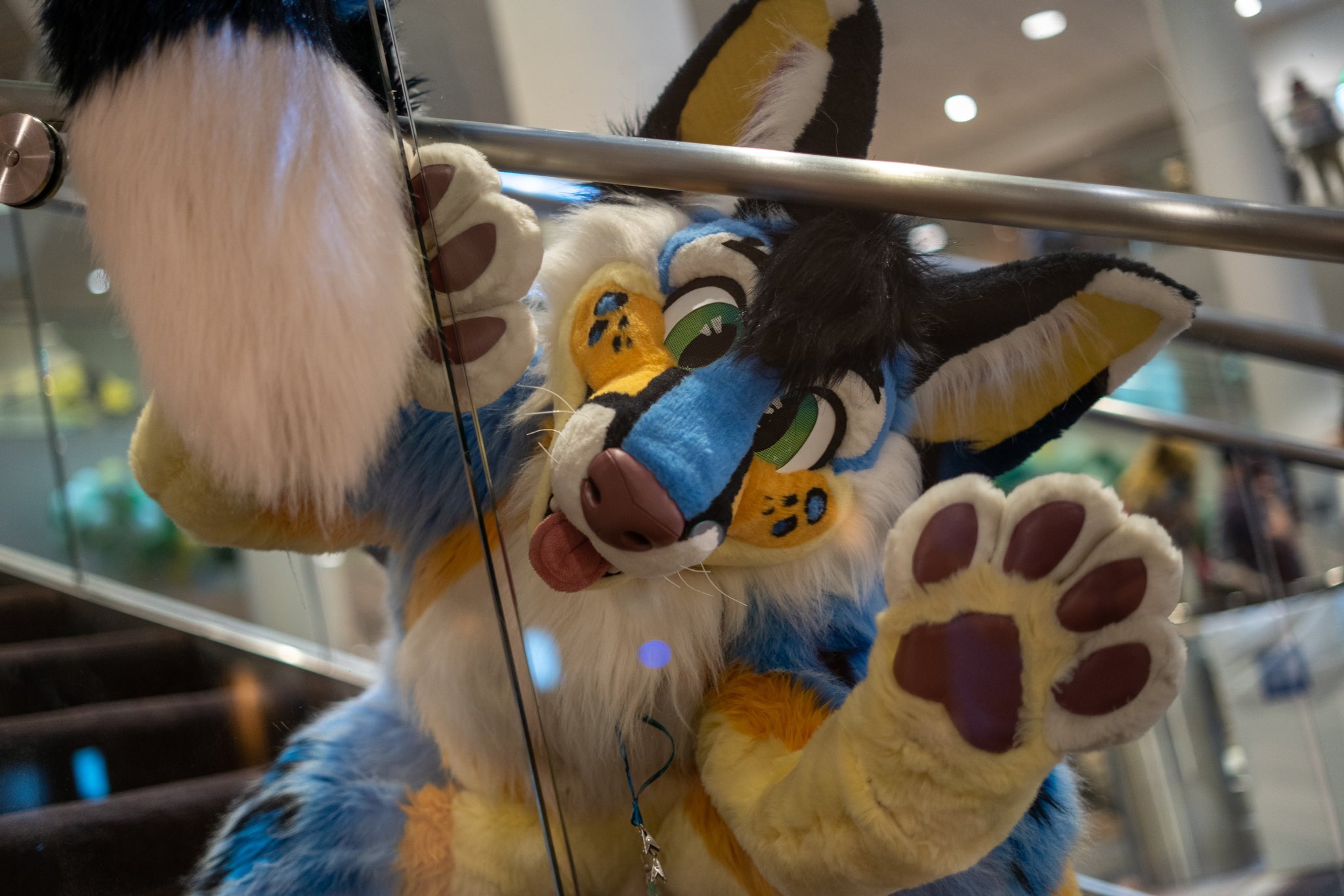 Blyze 🔜MFF, PDFC? FC? on Twitter: "Would anyone want a photoshoot done