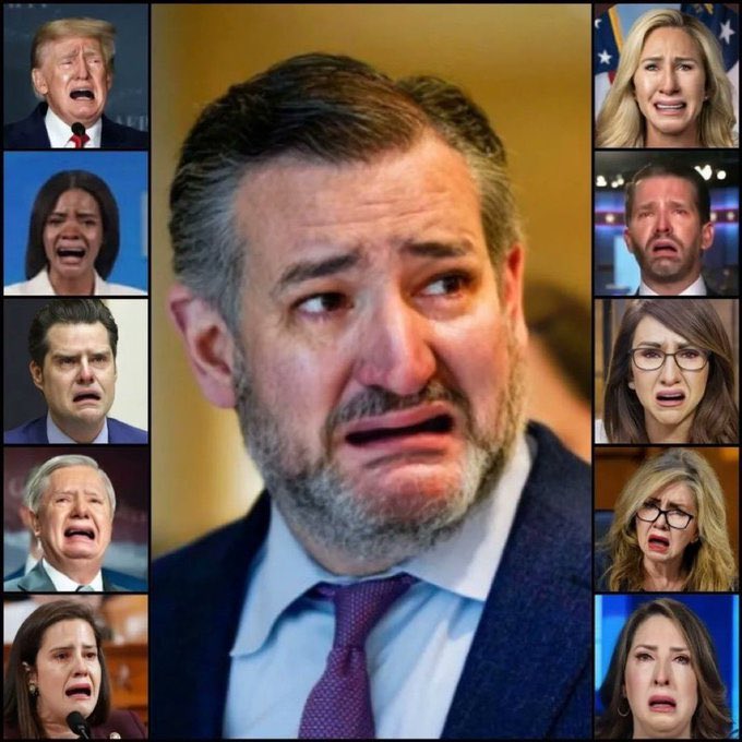 TPBlue4's tweet photo. @SenateGOP Why aren’t the small gov people doing their jobs to manage the border? 

There’s a reason you lost bigly. https://t.co/kFyZ8gMnG5