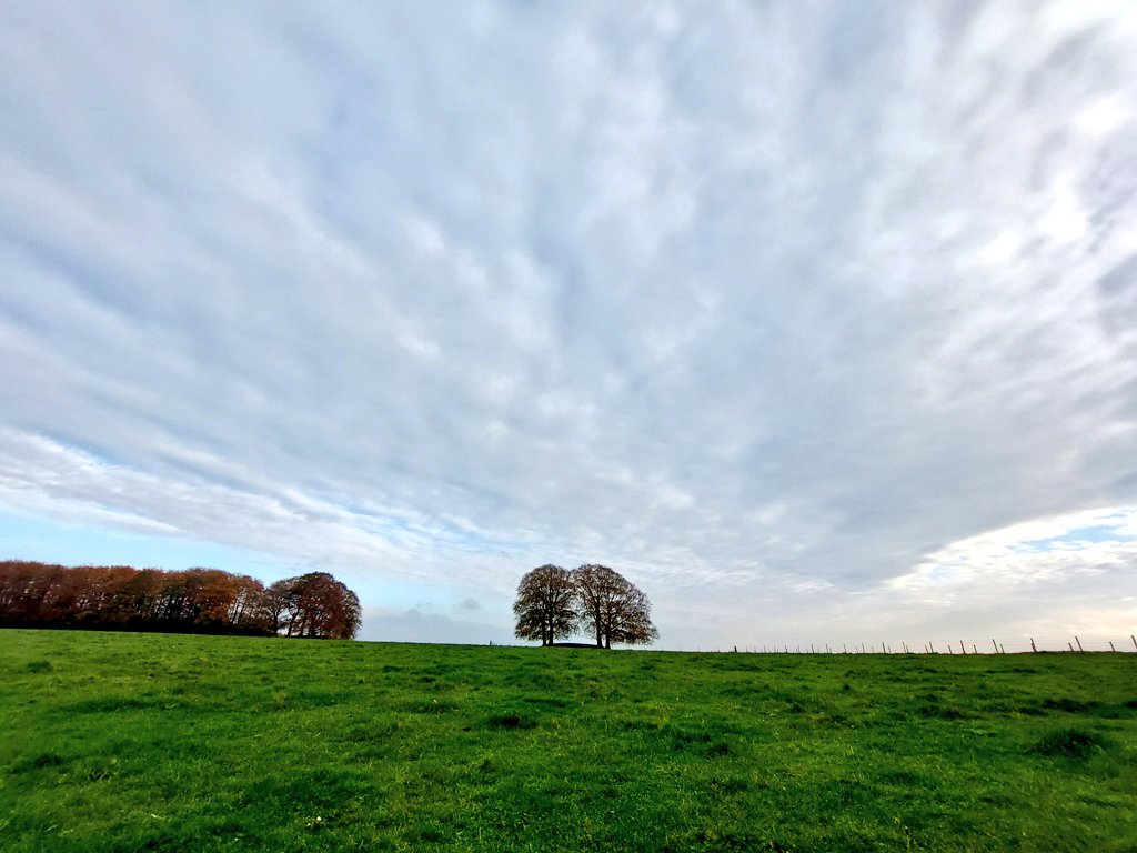 gavinwitha_g's tweet photo. Today was all about getting my guests to look beyond Stonehenge to the magical landscape. #stonehenge #gavinwithag #englishheritage #nationaltrust #bluebadgetouristguide #guidelondon #prehistoric #englishcountryside #englandtourism #funtourguide #familytours #childrenstour https://t.co/fFzZgp2j37