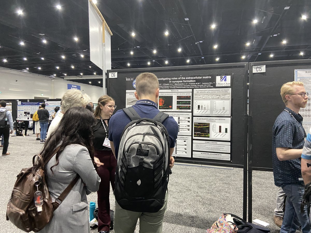 Michele Lemons tweet media