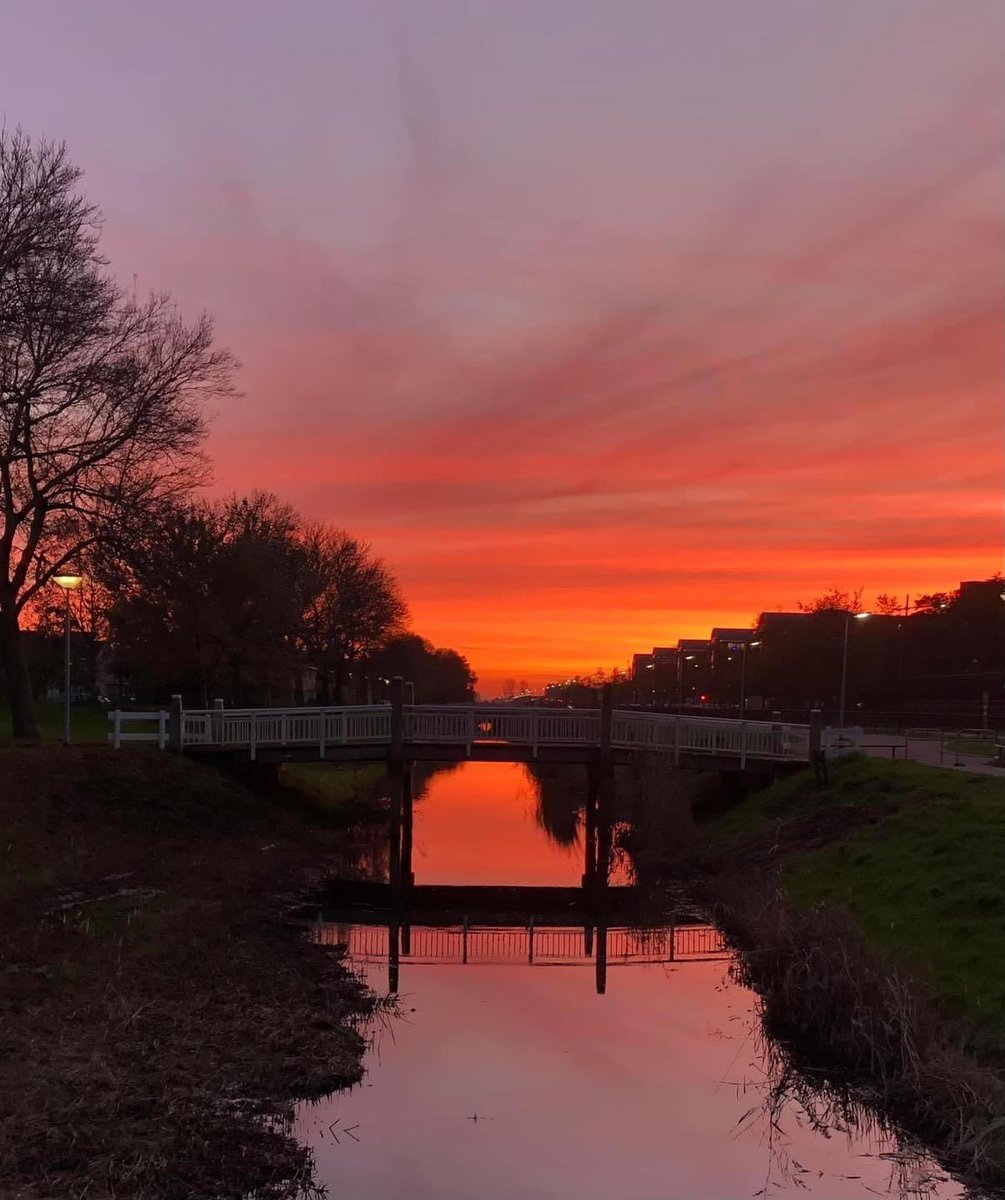 Een mooi plaatje van een paar dagen geleden…zonsondergang in Toolenburg🔥

📸 Joke Vogelaar #haarlemmermeer #liefsuithaarlemmermeer #hoofddorp
