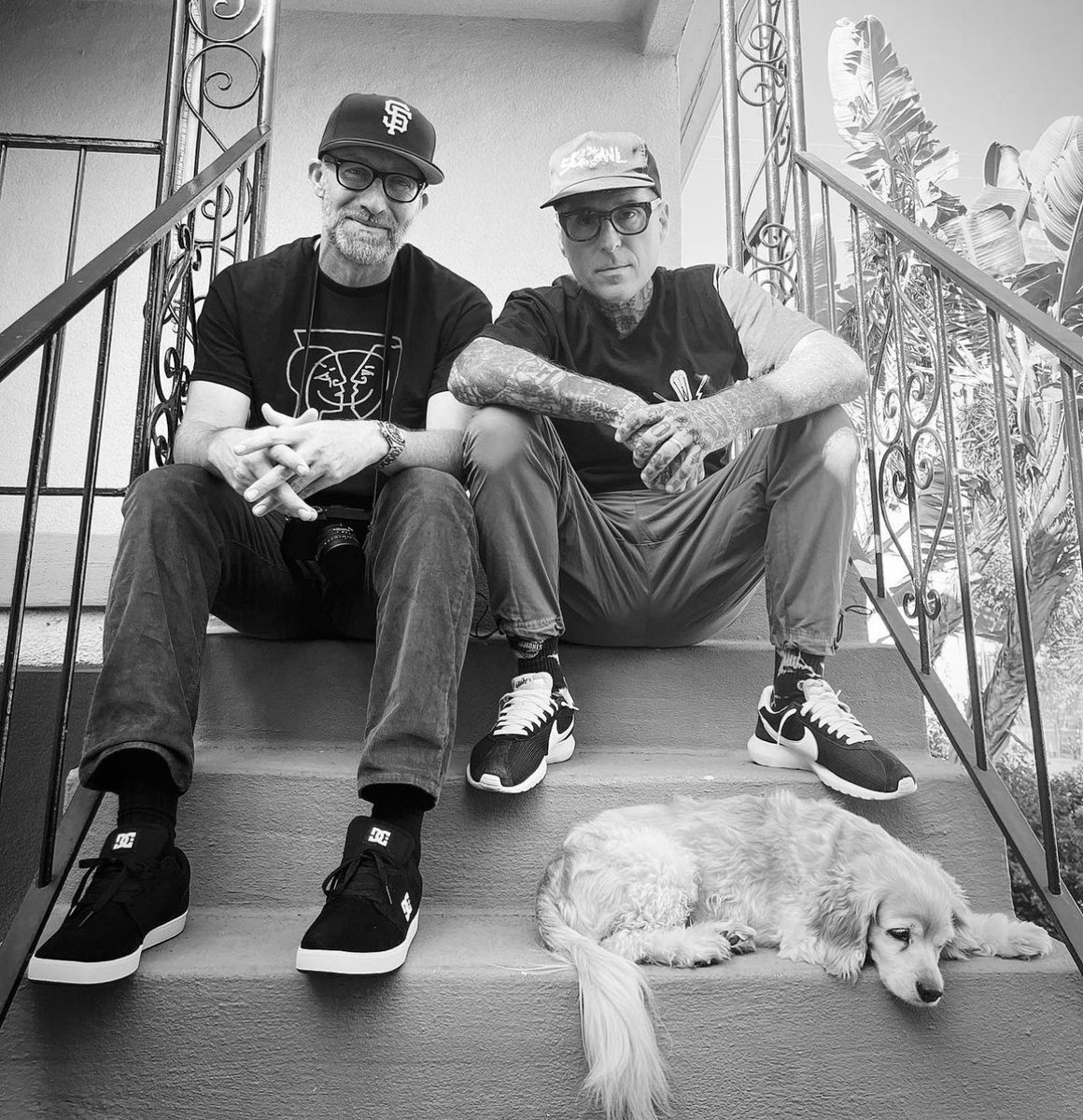 Toby Morse tweet media