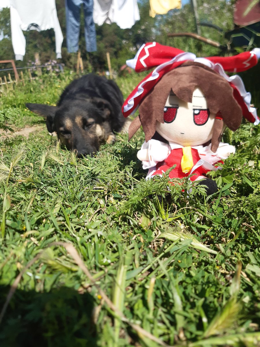 Cirmimikyu's tweet photo. #fumo https://t.co/X64aM8Flxb