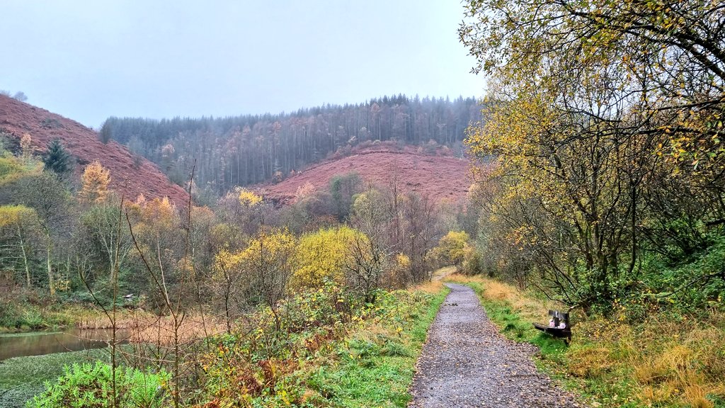 Nice autumn colours at Clydach Lakes this morning 😊👣#rhonddavalley