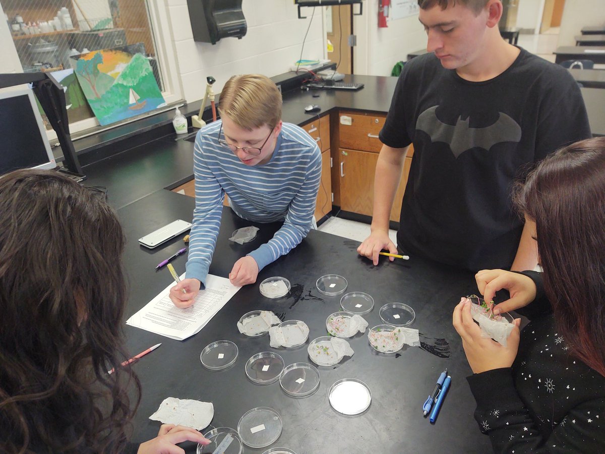 LPatchBHS's tweet photo. APES Salinization Lab @BrevardHS testing salt concentrations on radish seed germination and sprout length  🌱 @tcsyes #inmyclassroom #apes https://t.co/vtWj8lvILi