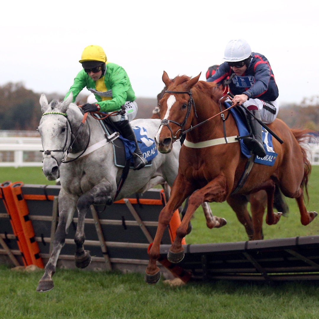 Coral's tweet photo. We have 20 tickets to give away for the @Coral Hurdle at @Ascot on Saturday 19th November 🙌

🚨 Retweet &amp; Like to enter the draw 🚨

10 winners will each win 2 tickets. Competition closes in 24 hours.