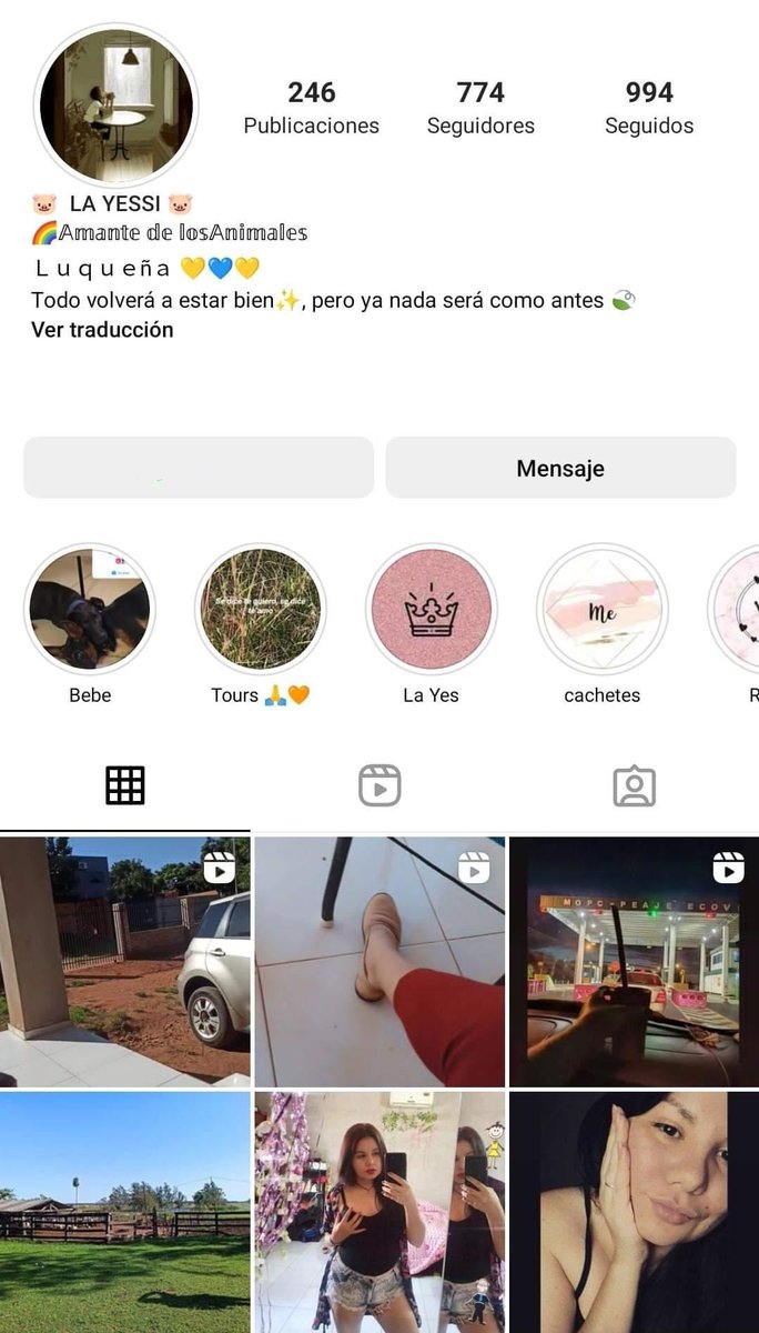 SollLugo's tweet photo. ¿DONDE ESTÁ THEO?

Di en adopción a este bebé hace un mes, hoy día, su adoptante ME BLOQUEO por ende estoy desesperada buscando saber que pasó de él, la adoptante es de LUQUE por si alguien le vio😭
O si tienen alguna info de esta buenísima adoptante "amante de los animales" https://t.co/3ChKz63oKP