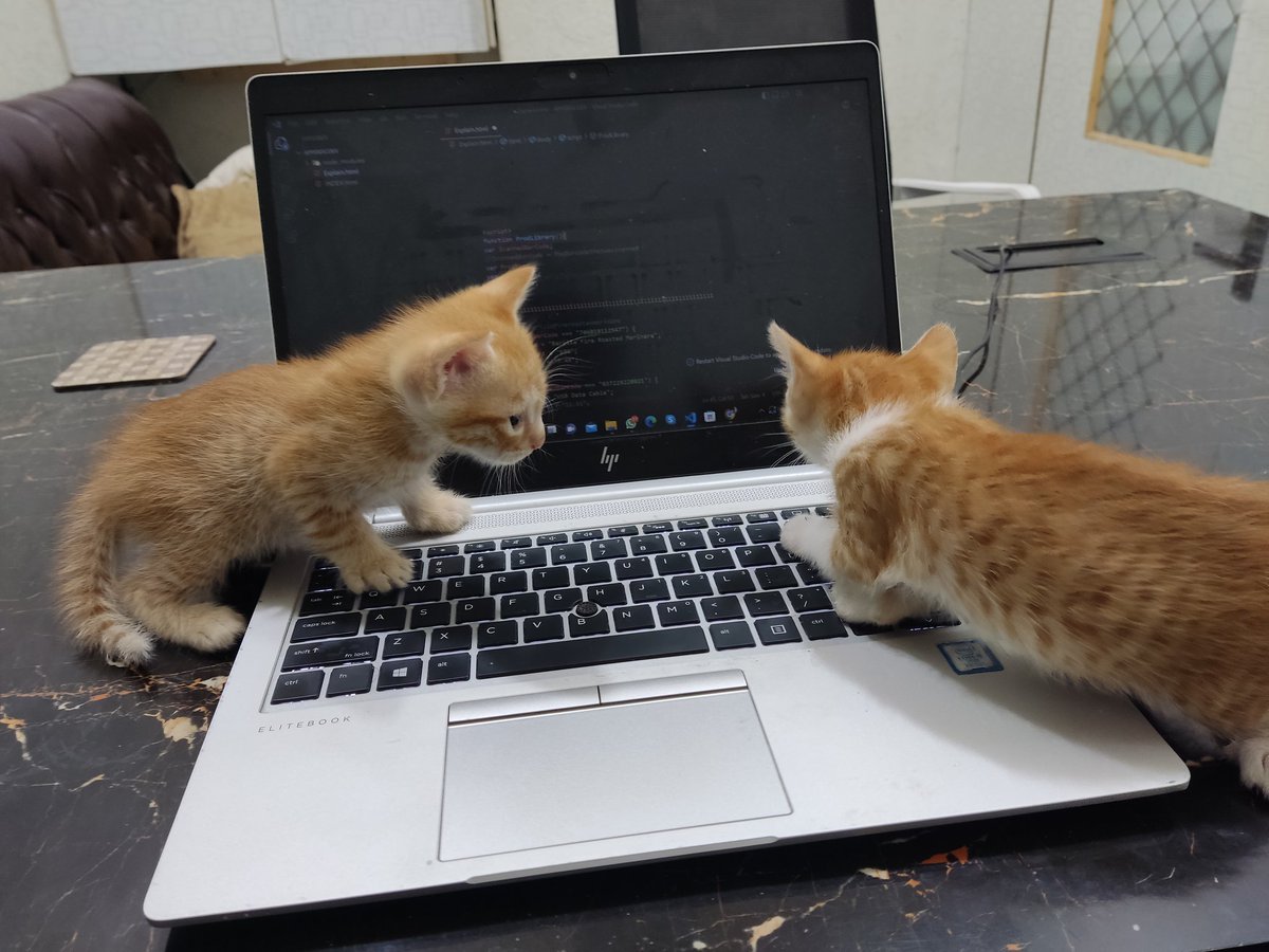 If pair programming had a face 😂❤️