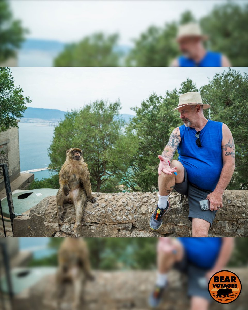 bearvoyages's tweet photo. We're all out of bananas! 🍌🐒
We took a trip to The Rock where we were overrun by monkeys! 🙈🐻

📍The Rock of Gibraltar

https://t.co/DaCD8cRr51 https://t.co/oYPsNNLzeV