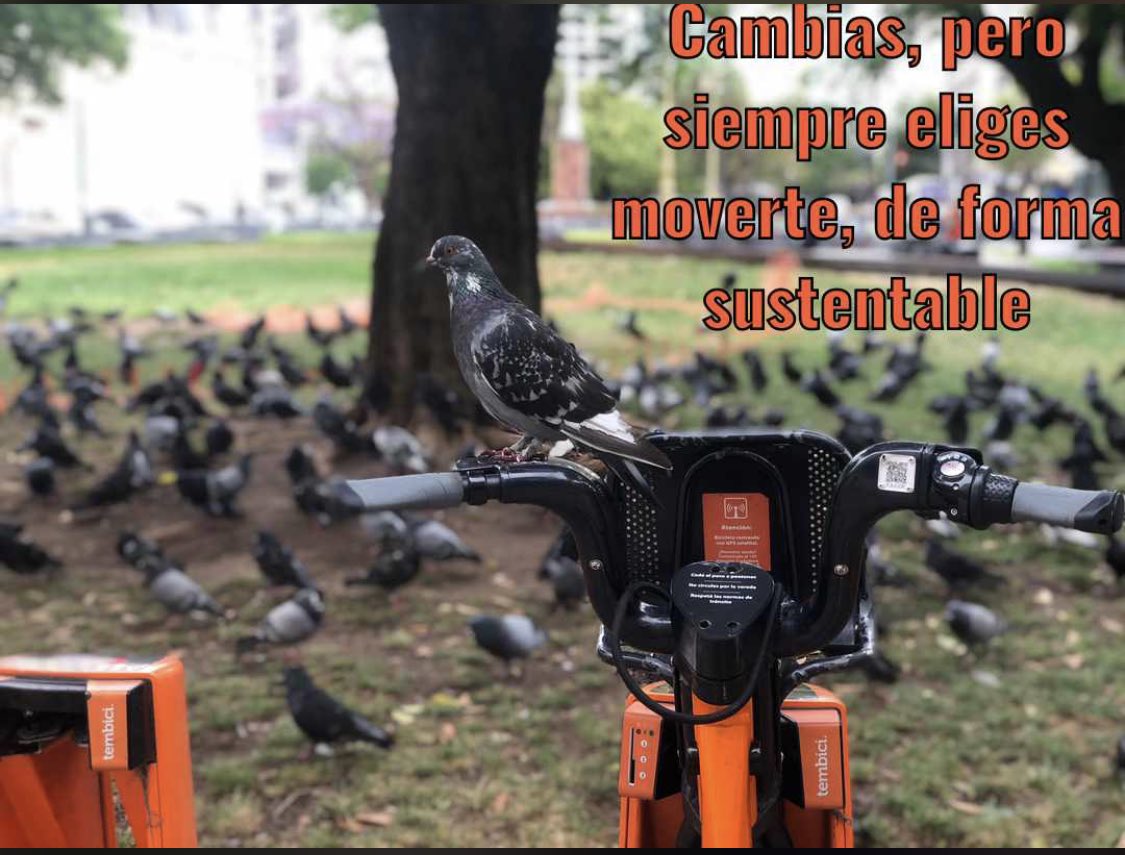 Siempre siendo sustentable <a href="/BAecobici/">BAEcobici</a> <a href="/gcba/">Buenos Aires Ciudad</a>