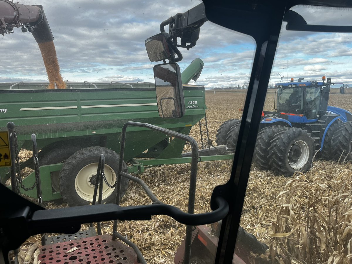 Found the last 8 rows of harvest 2022 today. Couldn’t have asked for a much better harvest.