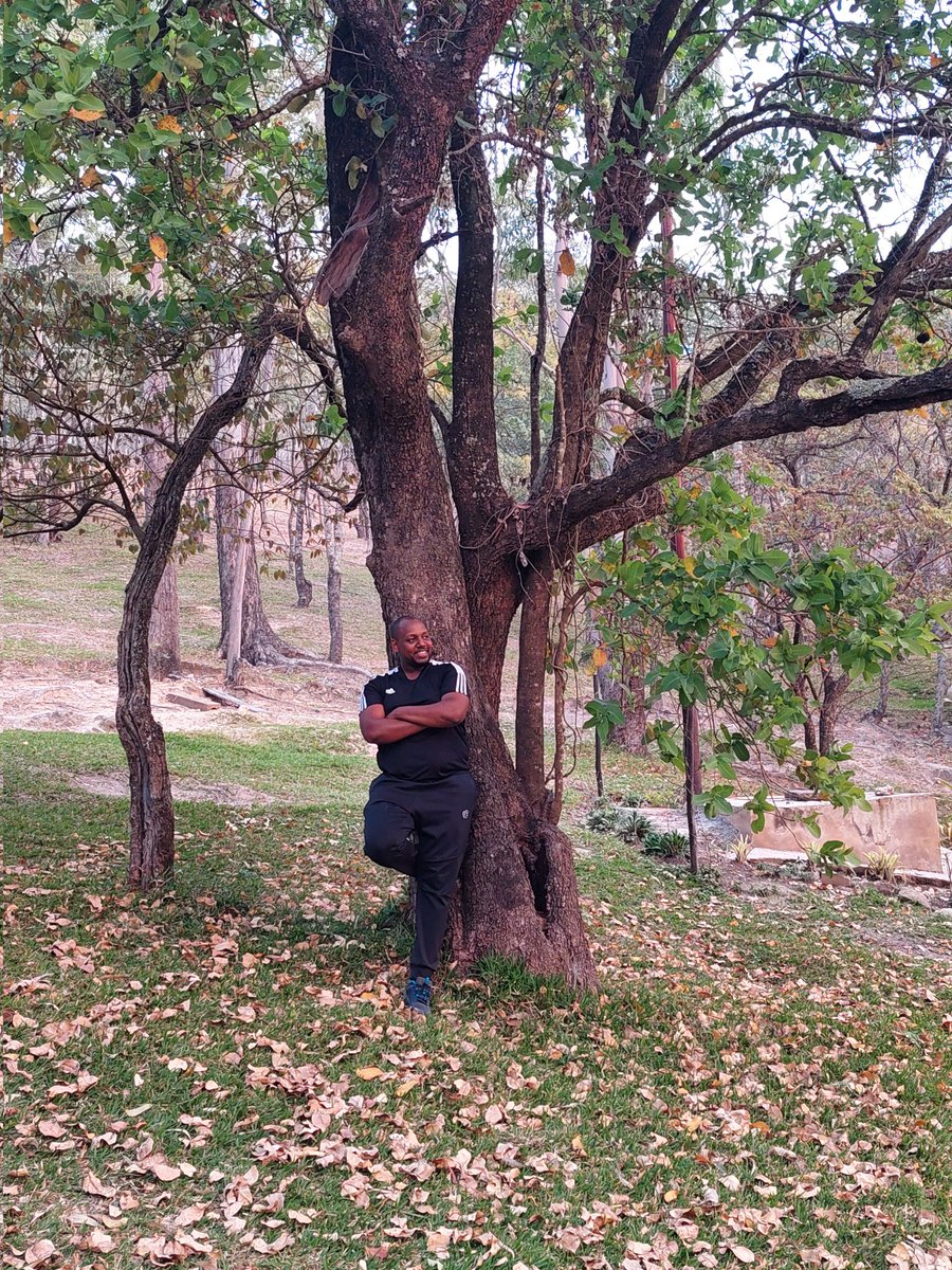 Sarutheone's tweet photo. @samanthanyasha My backyard is so amazing, I love it here... #HiddenEscapes https://t.co/nRf4adxx1u